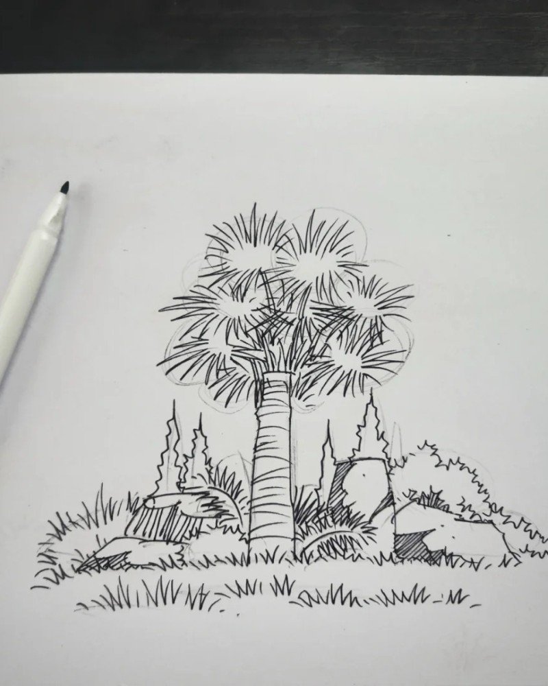 How to draw a palm tree 3