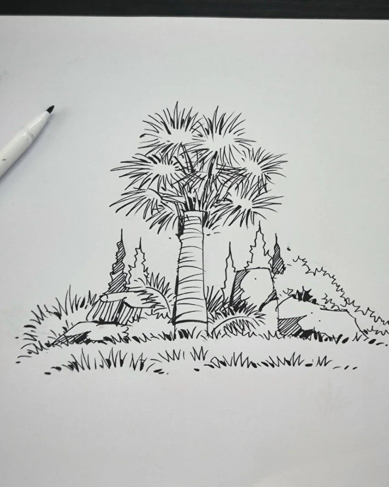How to draw a palm tree