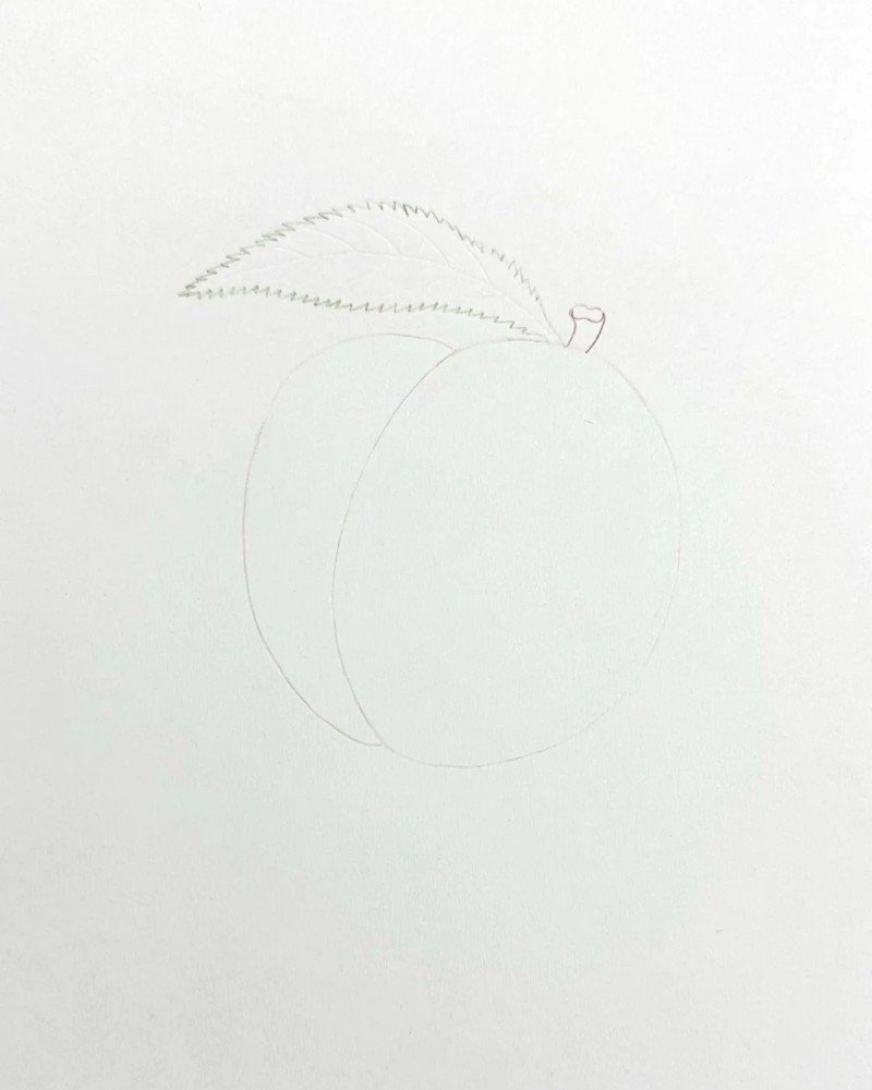 How to draw a peach easy 1