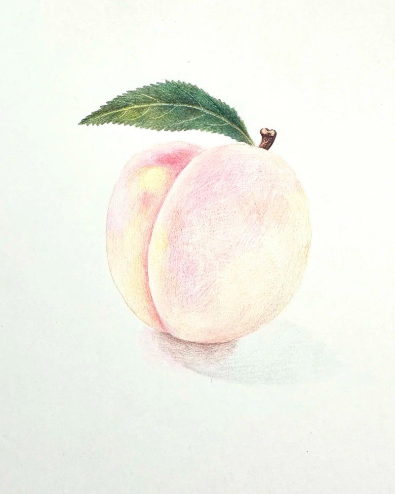 How to draw a peach easy 3