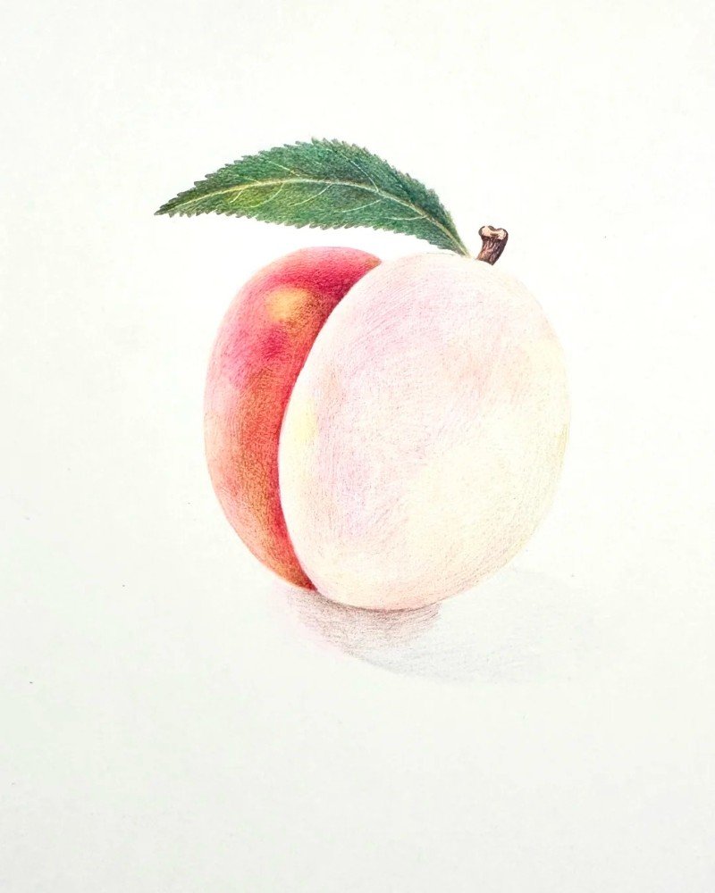 How to draw a peach easy 4
