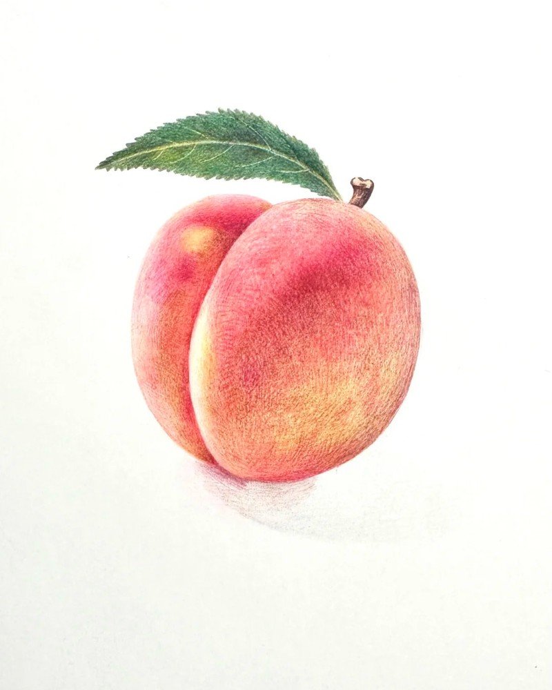 How to draw a peach easy 5