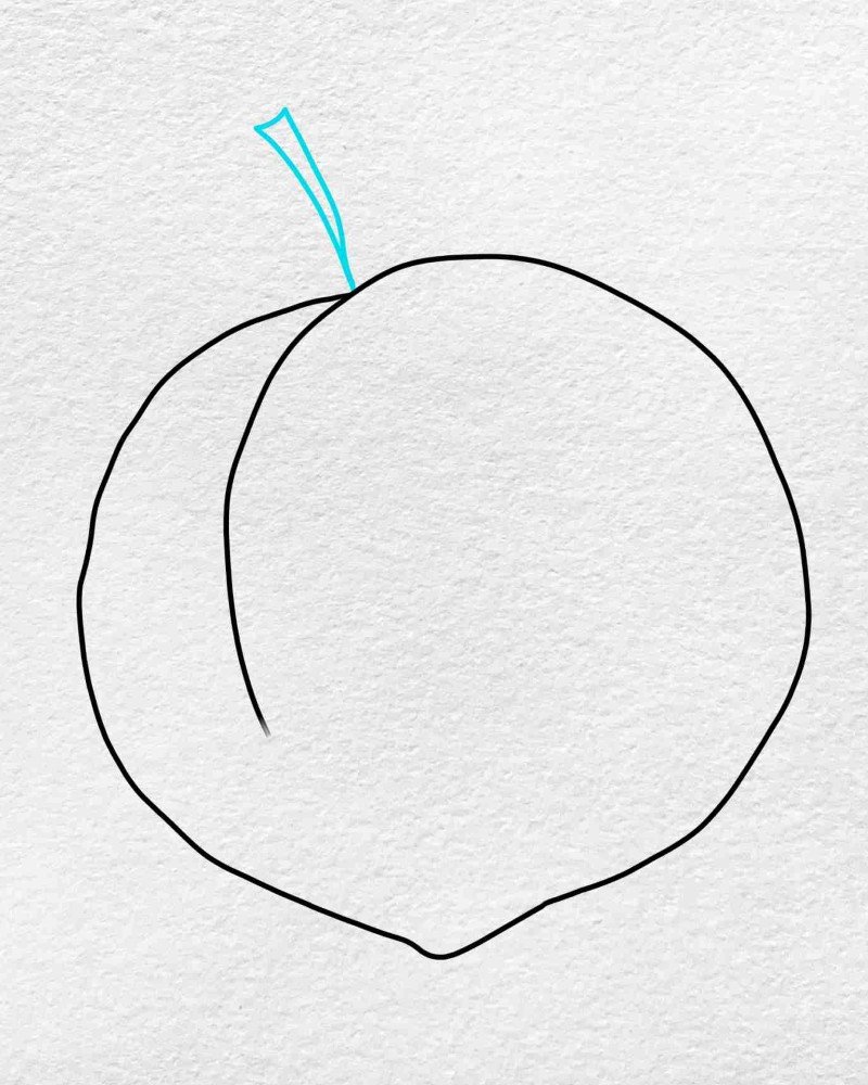 How to draw a peach step by step 3