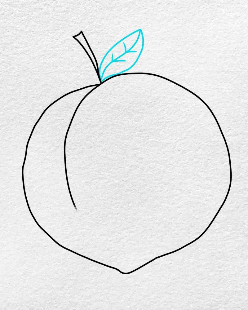 How to draw a peach step by step 4