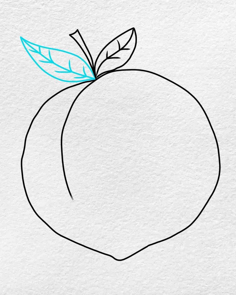 How to draw a peach step by step 5