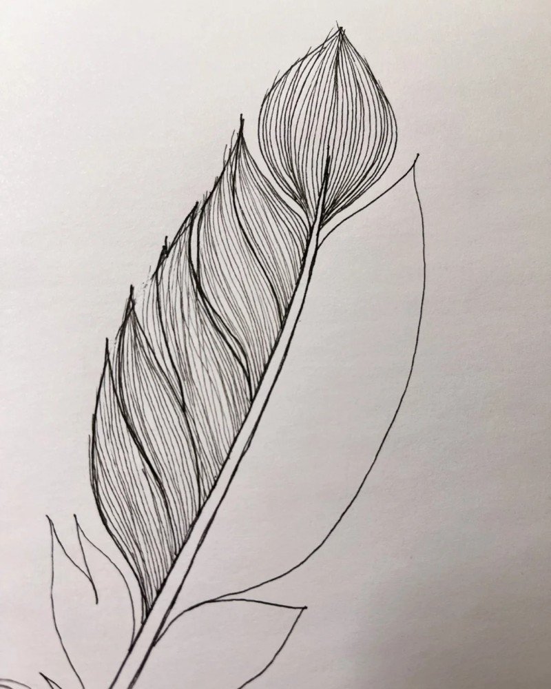 How to draw a peacock feather 3