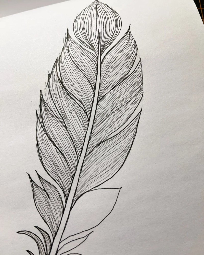 How to draw a peacock feather 5