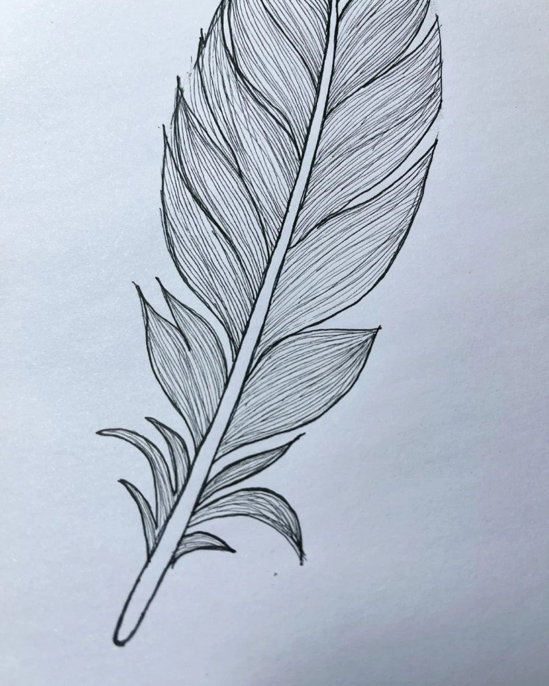 How to draw a peacock feather 6