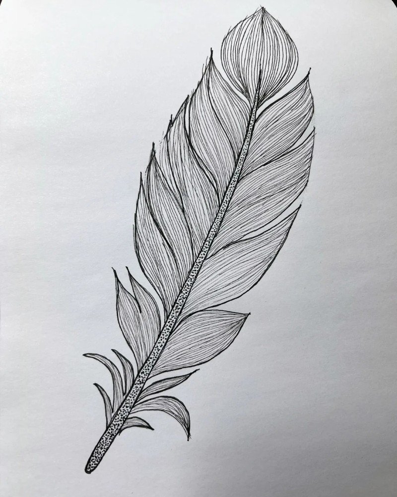 How to draw a peacock feather 7