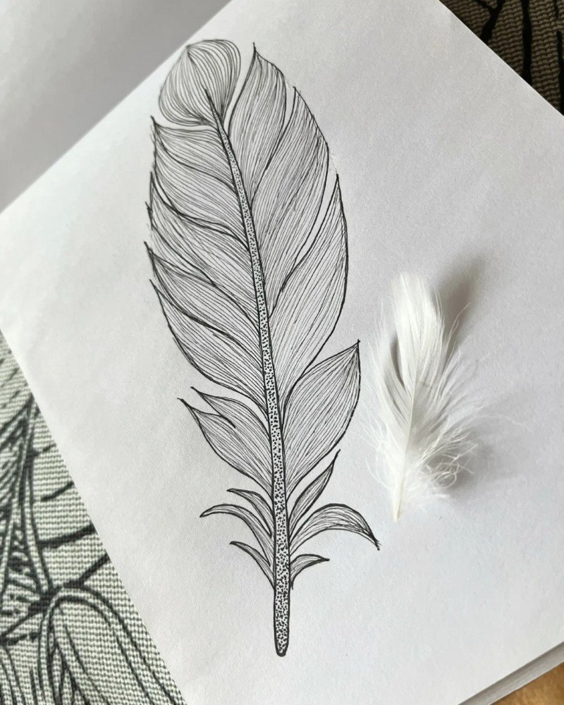 How to draw a peacock feather
