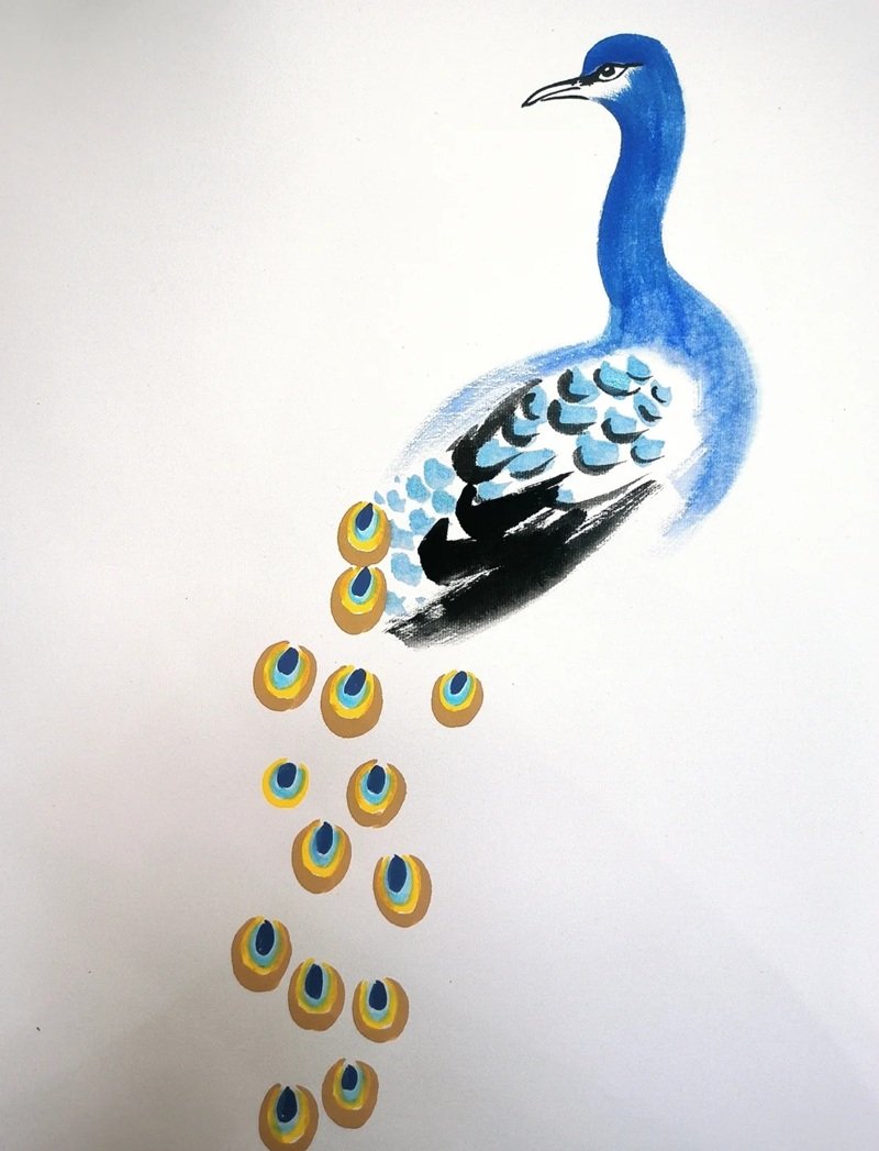 How to draw a peacock step by step  4