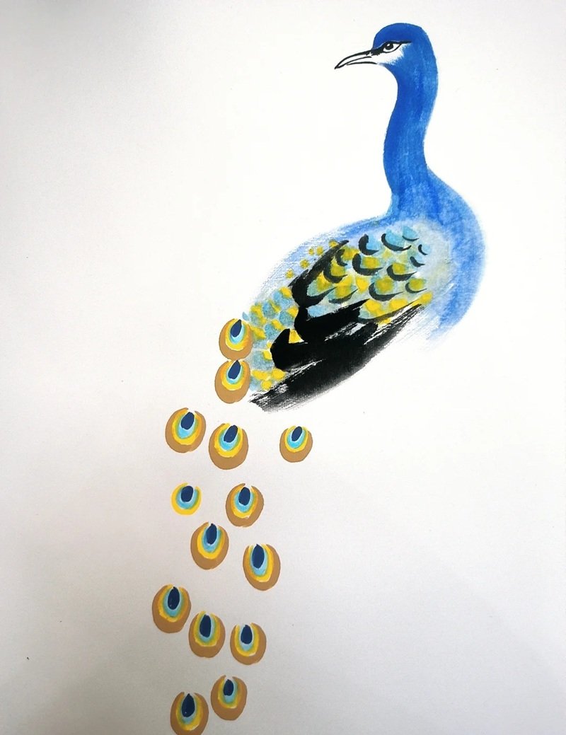 How to draw a peacock step by step  5