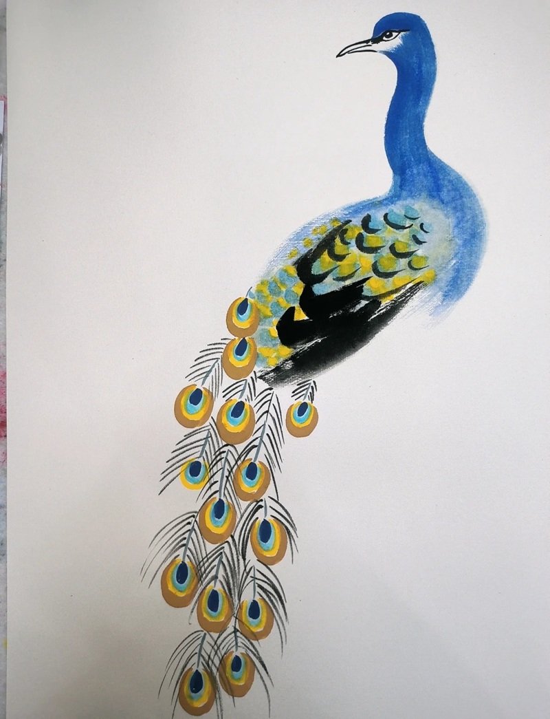 How to draw a peacock step by step  6