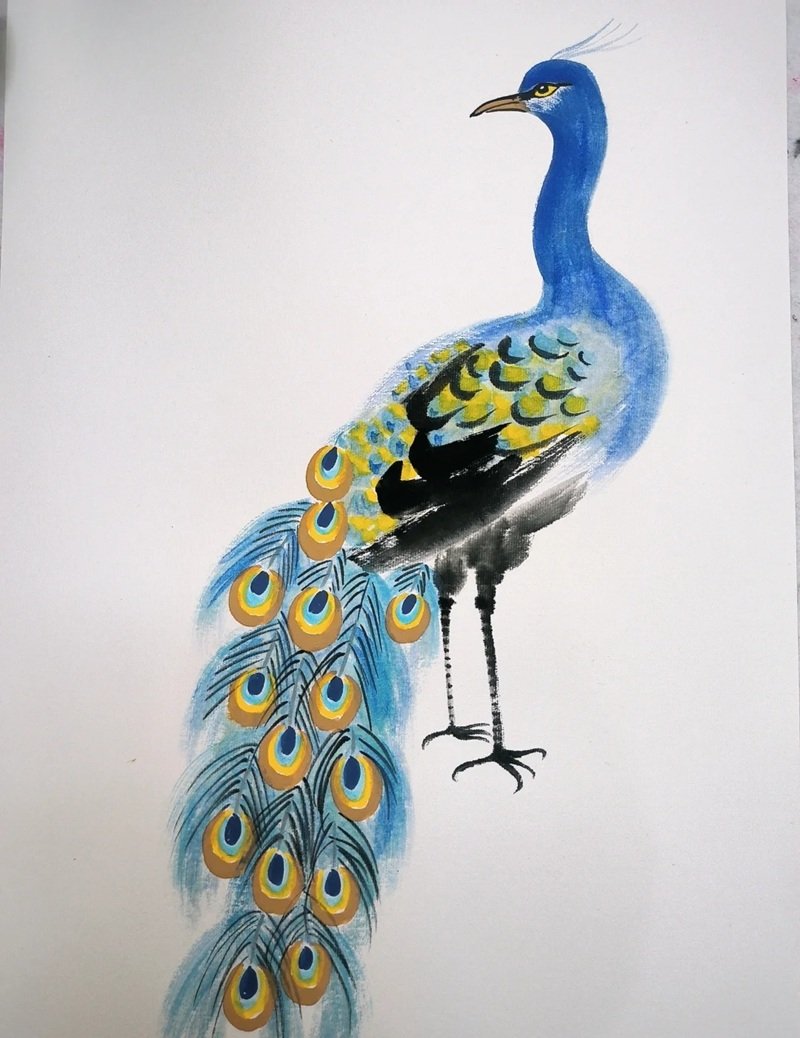 How to draw a peacock step by step  7
