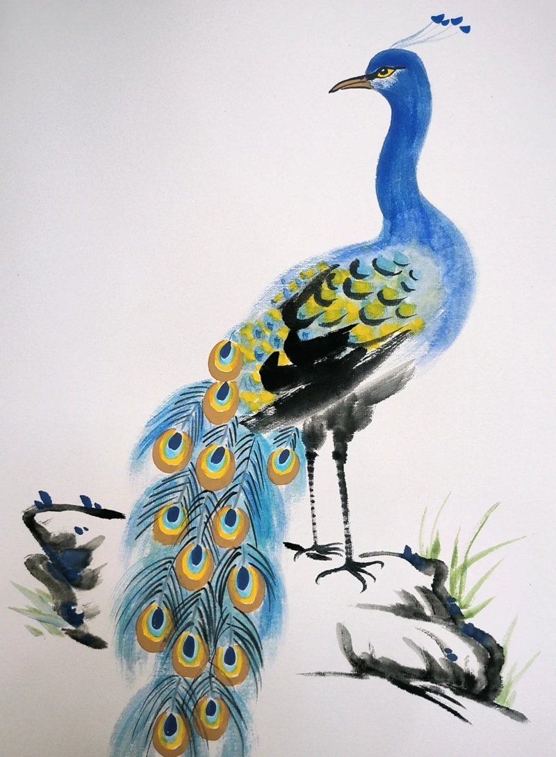 How to draw a peacock step by step 