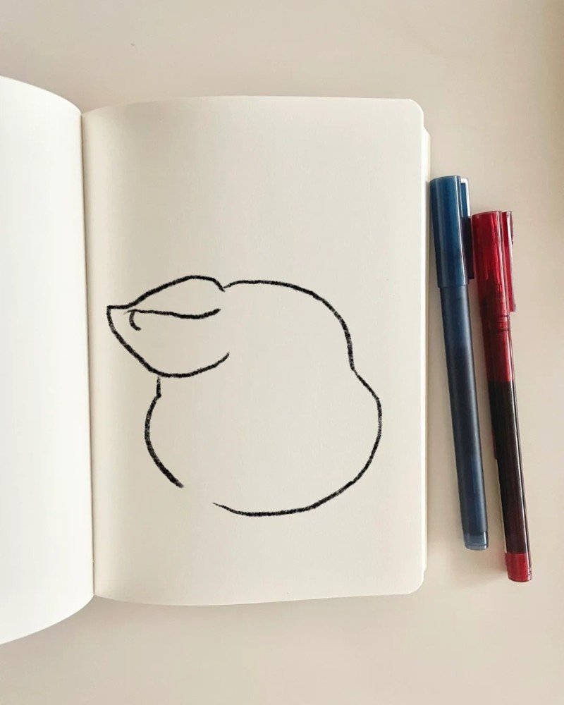 How to draw a pig cute 2