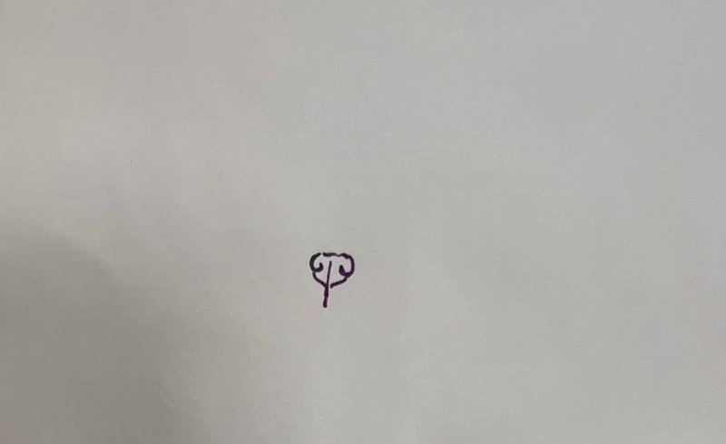 How to draw a pitbull dog 1