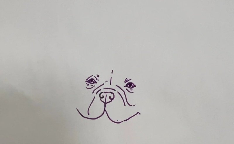 How to draw a pitbull dog 3