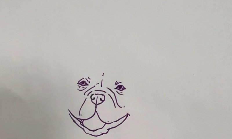 How to draw a pitbull dog 4