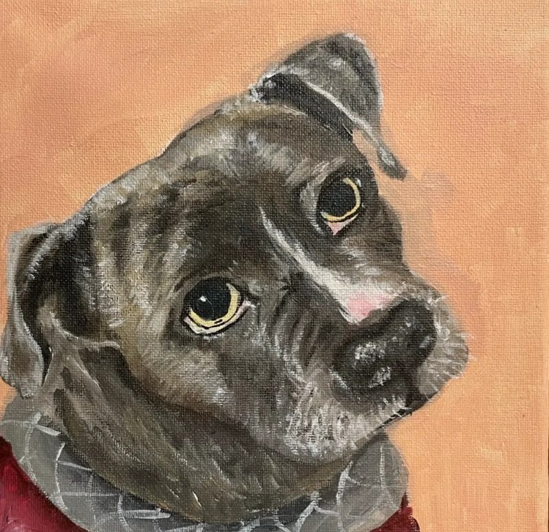 How to draw a pitbull dog step by step 4