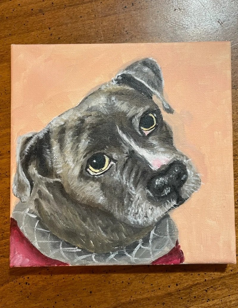 How to draw a pitbull dog step by step