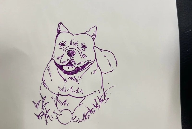 How to draw a pitbull dog