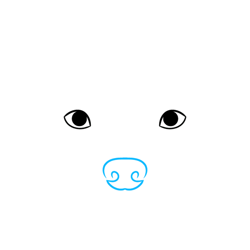 How to draw a pitbull face 2