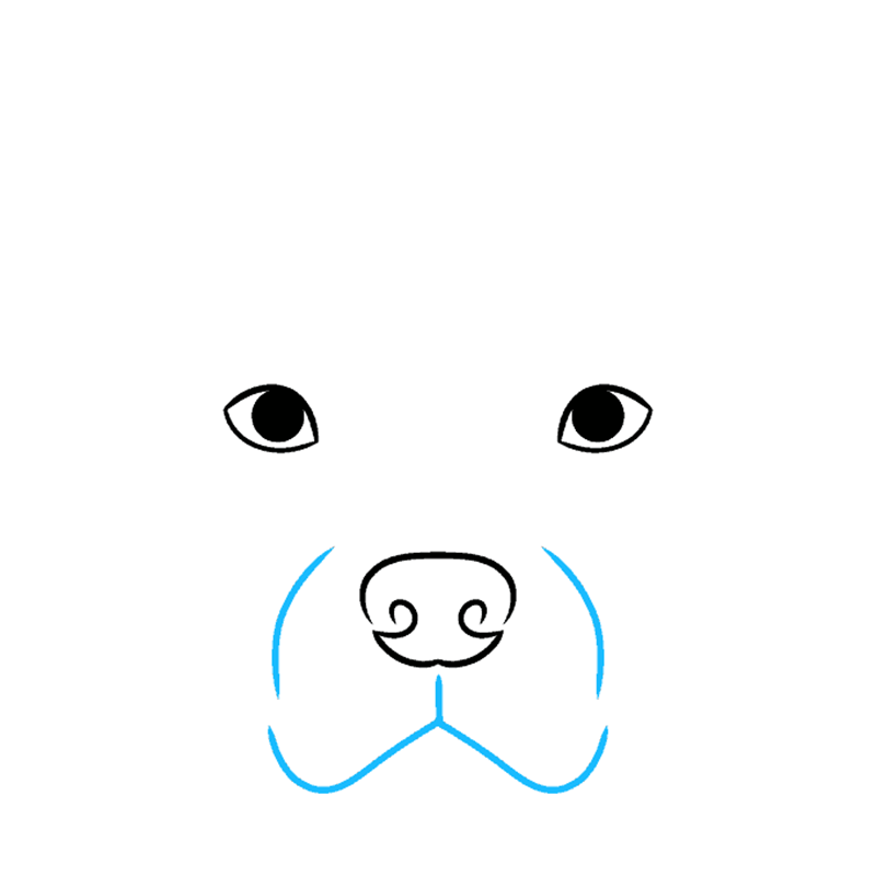 How to draw a pitbull face 3