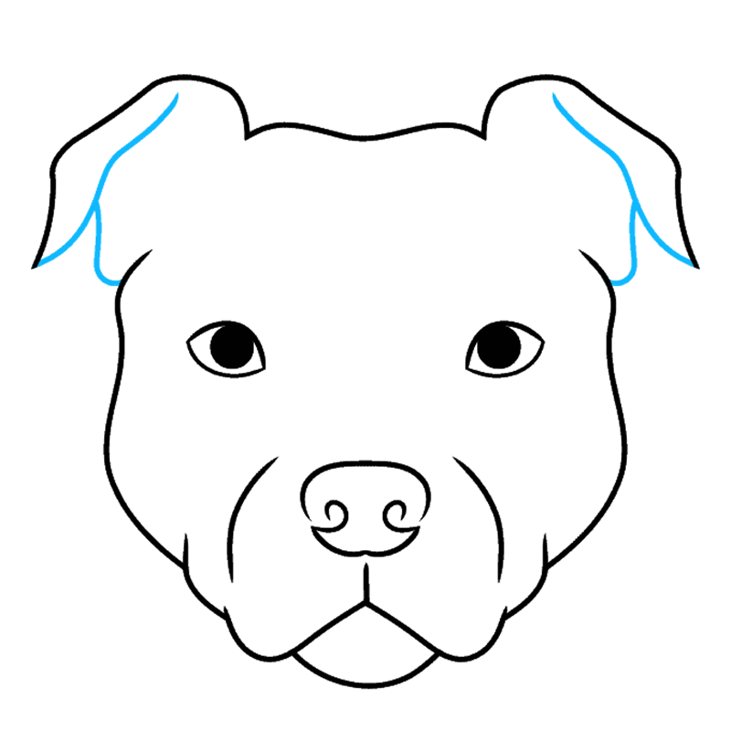 How to draw a pitbull face 7