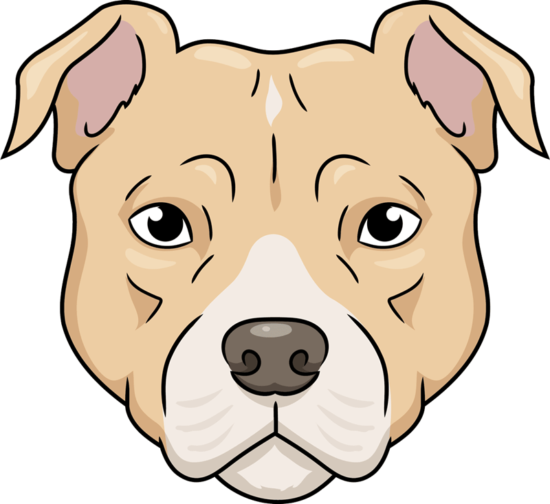 How to draw a pitbull face
