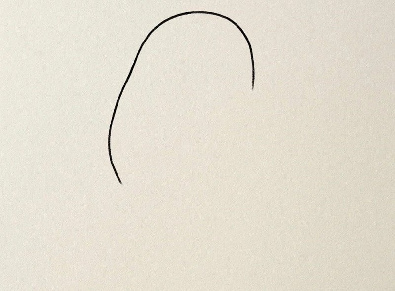 How to draw a polar bear for kids 1