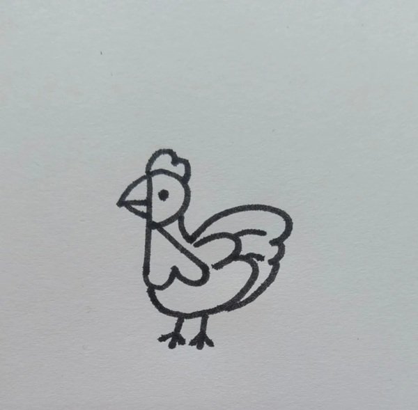 How to draw a rooster step by step 4