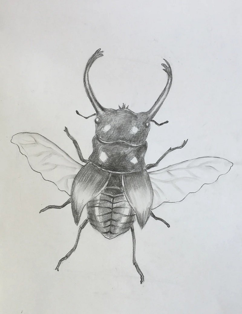 How to draw a Scarab 4