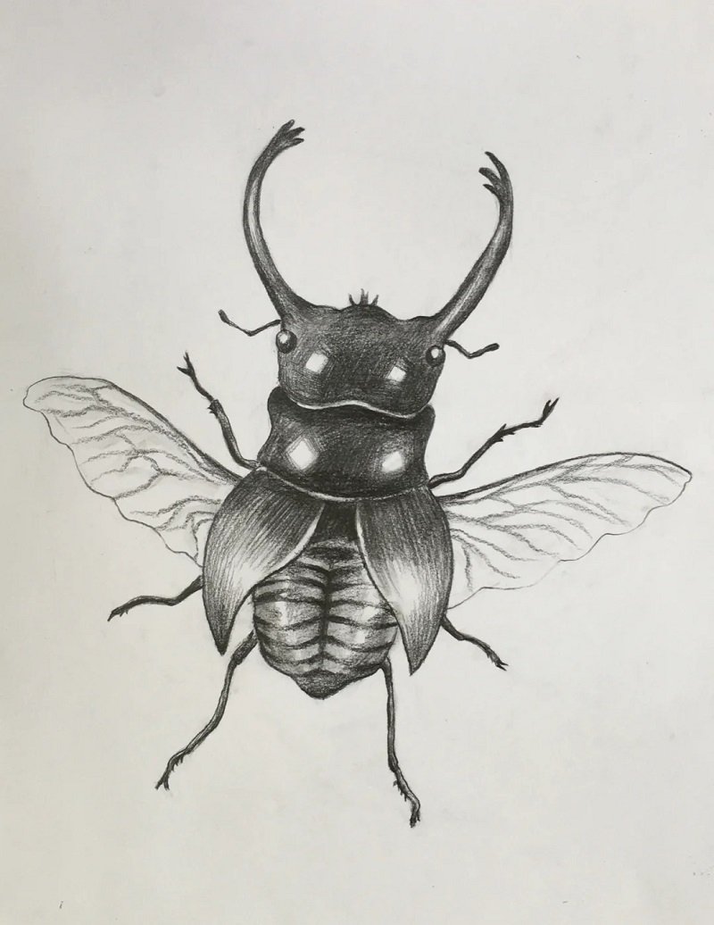 How to draw a Scarab 5