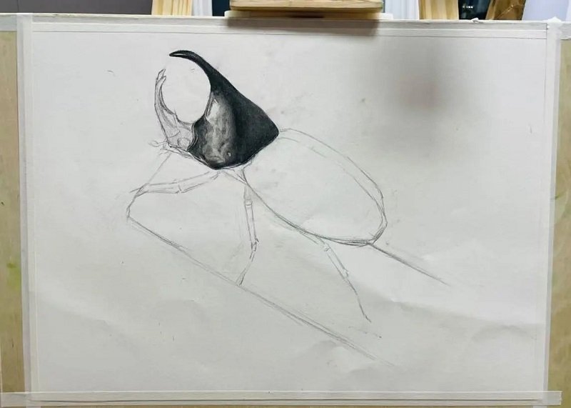 How to draw a Scarab 2