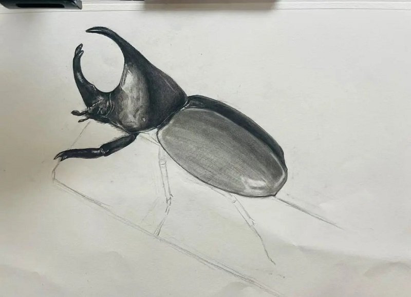 How to draw a Scarab 3