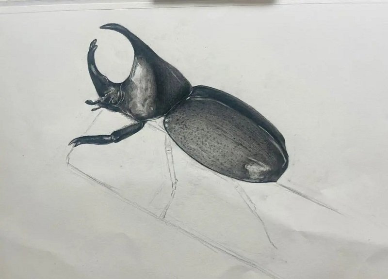 How to draw a Scarab 4