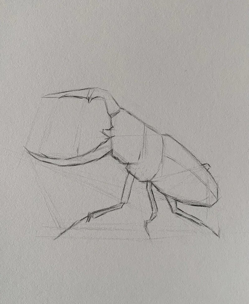 How to draw a Scarab beetle step by step 1