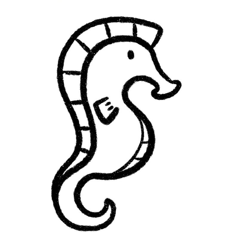 How to draw a Seahorse easy 4