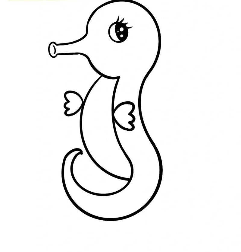 How to draw a Seahorse easy step by step 5