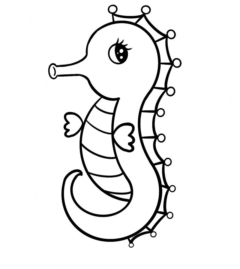 How to draw a Seahorse easy step by step 6
