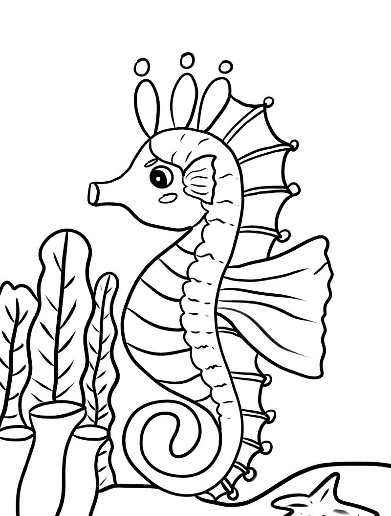 How to draw a Seahorse for kids step by step 10