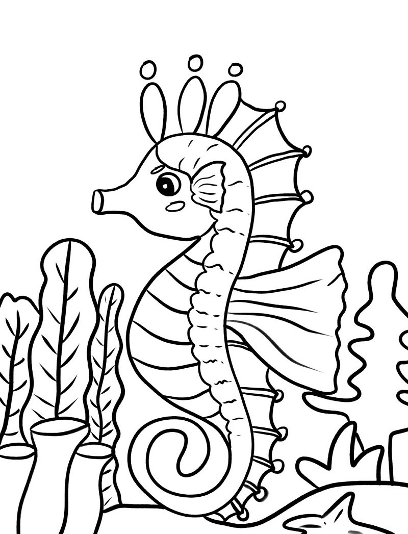 How to draw a Seahorse for kids step by step 11