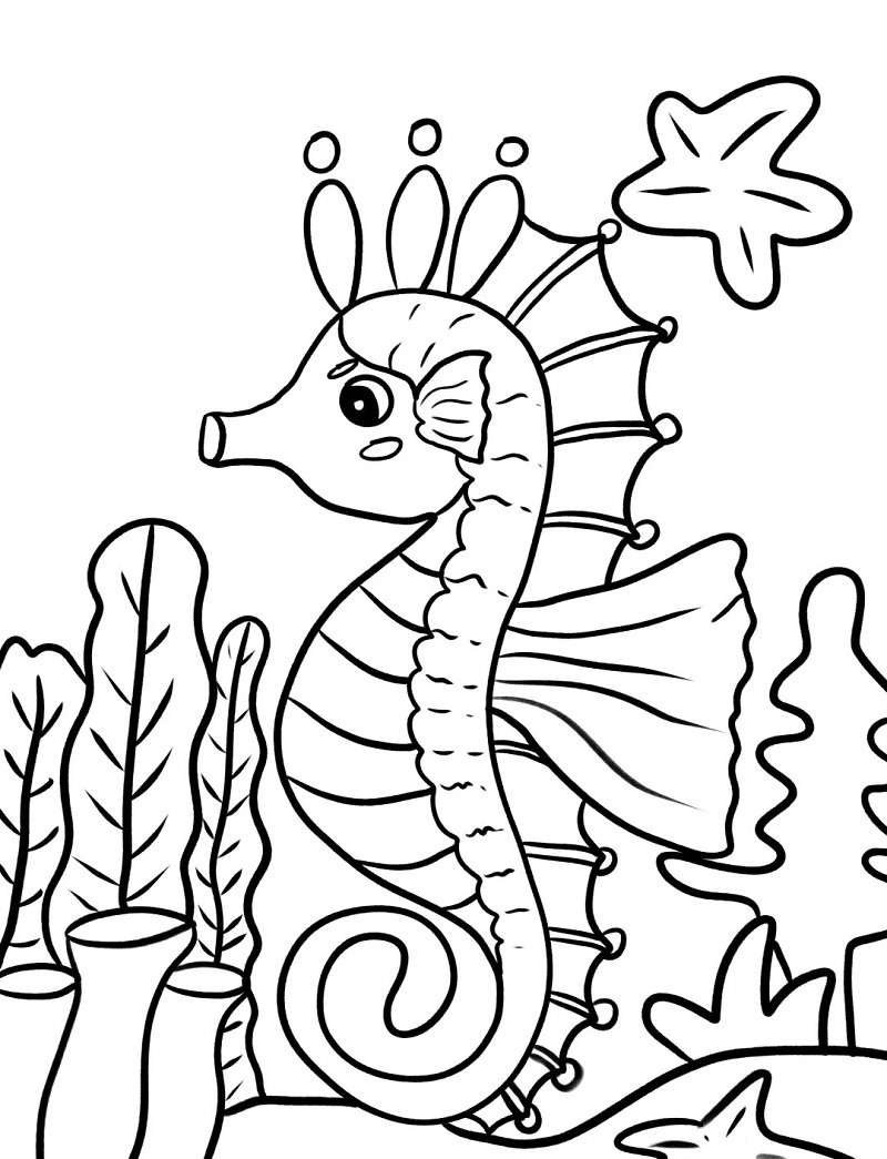 How to draw a Seahorse for kids step by step 12