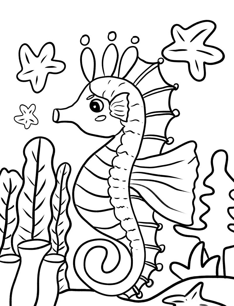 How to draw a Seahorse for kids step by step 14