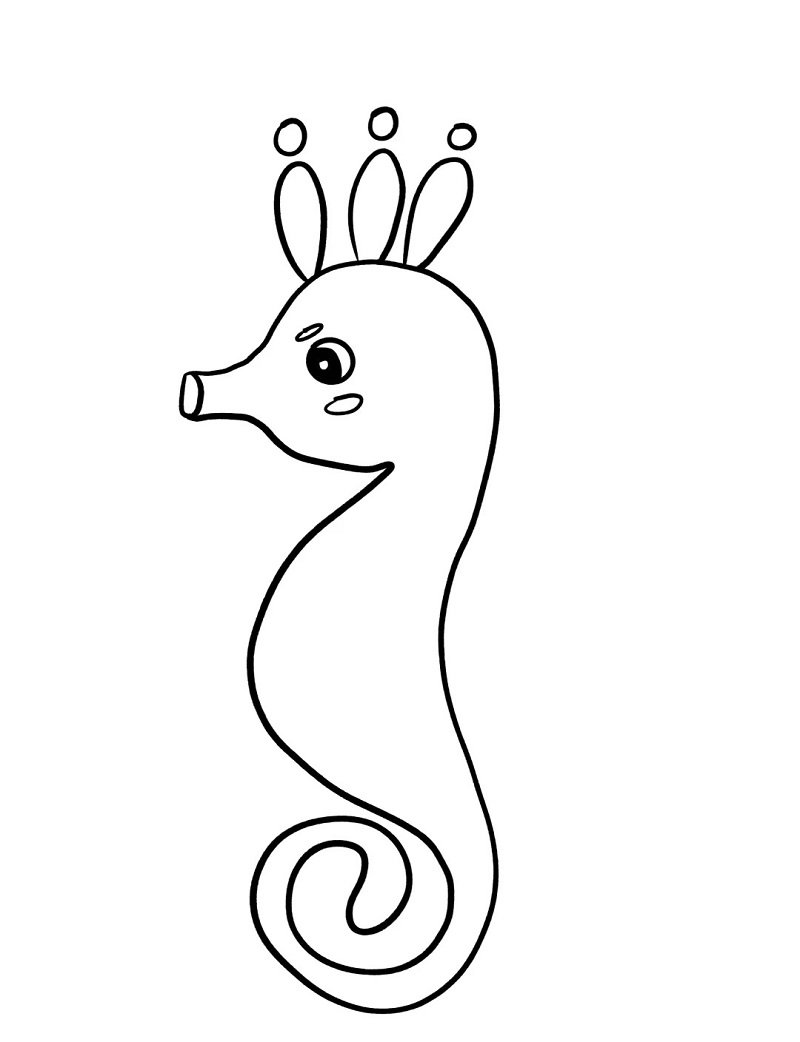 How to draw a Seahorse for kids step by step 2