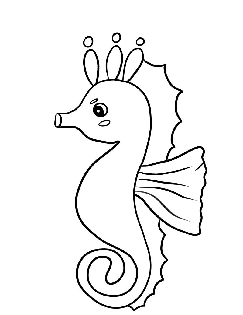 How to draw a Seahorse for kids step by step 3