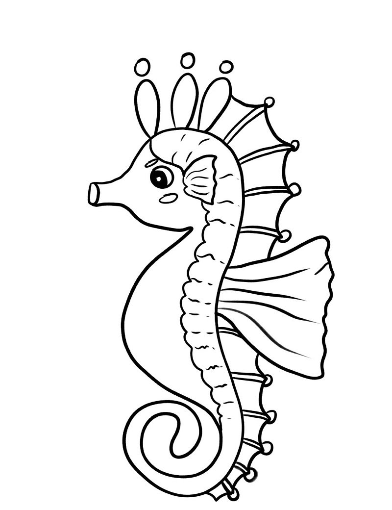 How to draw a Seahorse for kids step by step 4