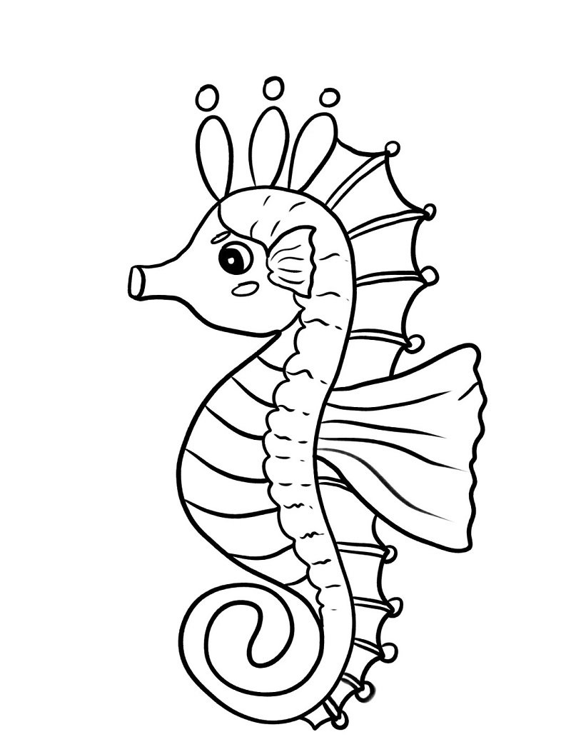 How to draw a Seahorse for kids step by step 5