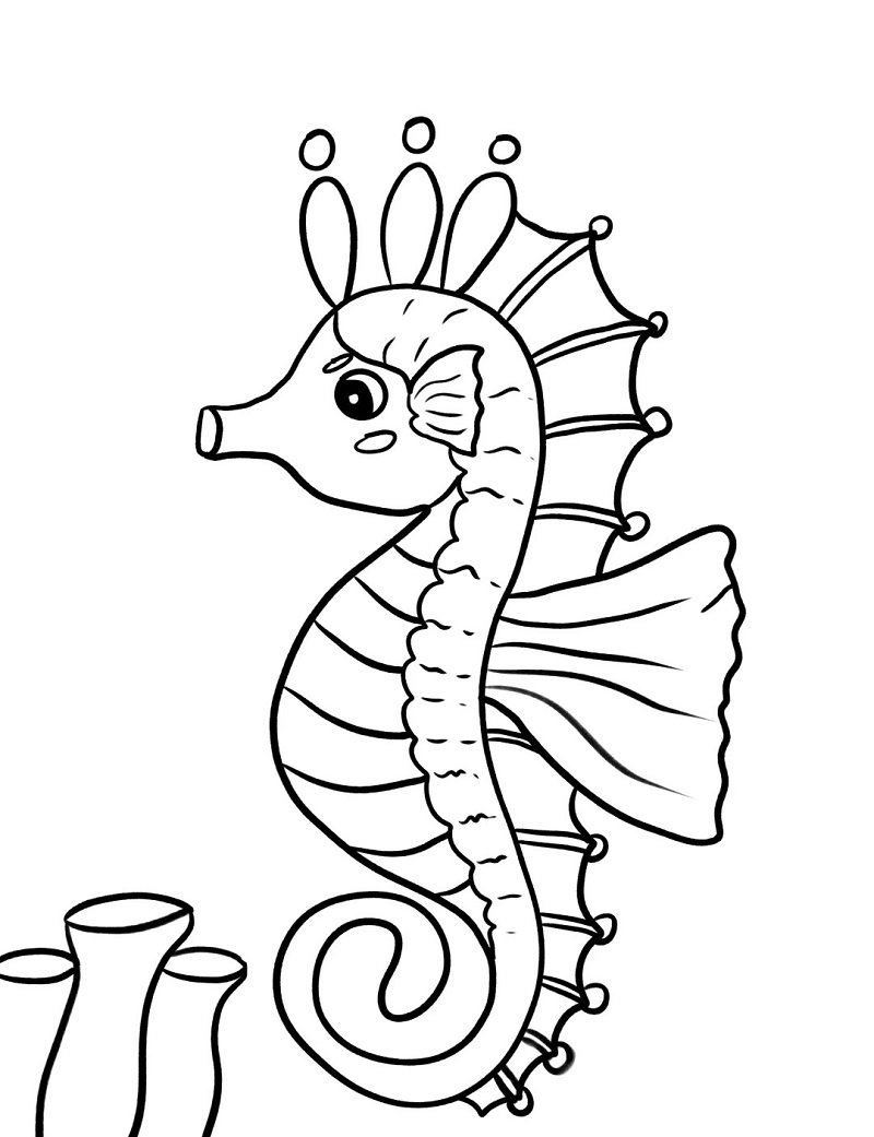 How to draw a Seahorse for kids step by step 6